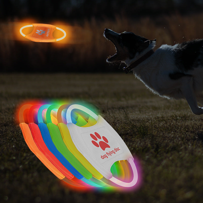 LED Flying Disc
