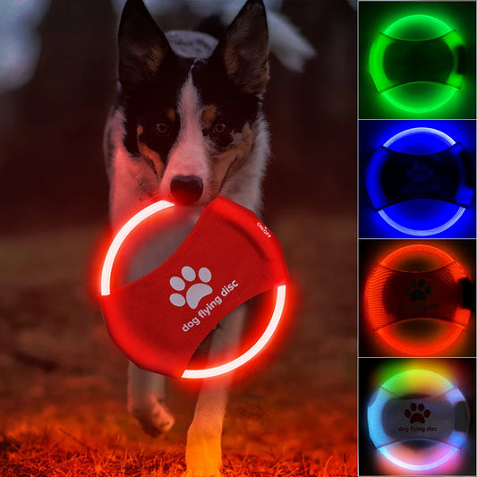 LED Flying Disc