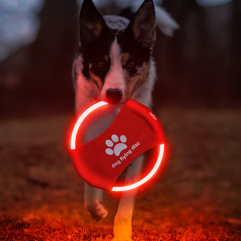 LED Flying Disc